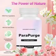 1/2/3 PCS Gut Cleanse - Gut and Colon Support Supplement Improve Physique