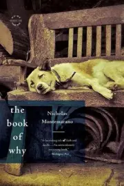 The Book of Why: A Novel by Nicholas Montemarano (English) Paperback Book