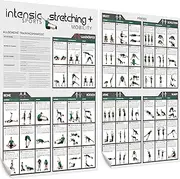 Stretching + Mobility Poster | 60 Fitness Exercises for Stretching and Mobilising | XXL Double Poster (2 x DIN A1) | Green