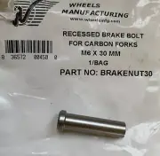 Recessed Brake Bolt For Carbon Forks M6x30mm