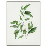 [OneWorld Collection] Botanica Leaf B Wall Art