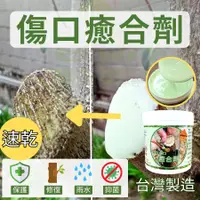 在飛比找蝦皮購物優惠-傷口癒合劑 【每天發貨】切口癒合劑 癒合劑 植物  480g