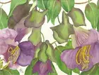 PAINTING WATERCOLOR 11X14 MAT 16X20 FLOWER PURPLE CUP & SAUCER VINE ORIGINAL ART