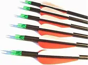12pk 600 Spine Carbon Arrows Archery Hunting Targeting Arrow with 100 Grain Field Tips for Compound Bow Recurve and Longbow