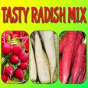 100+ Radish Seeds for Home Gardening and Planting Seeds