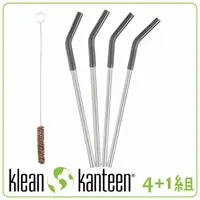 在飛比找蝦皮商城優惠-【KLEAN KANTEEN 美國 不鏽鋼吸管-4PK《黑》