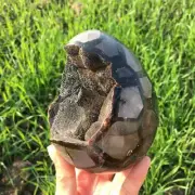 Natural Dragon Septarian Turtle Egg Crystal Carved Specimen Energy Reiki Healing