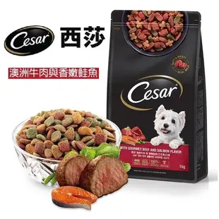 ✨免運+5%蝦幣✨🐶亨寶🐱Cesar 西莎 精緻犬用乾糧 1KG 狗飼料 狗糧 牛肉 鮭魚 火雞 全齡犬飼料 西沙