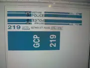 City of Gotham Police Patrol Car Decals (Movie) 1:64 two for one money