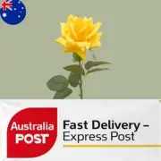 Artificial Faux Ecuador Real Touch Rose Stem - Yellow Colour