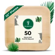 Palm Leaf Disposable Plates - Bamboo Plates Disposable 10 Inch Square (50pc) ...