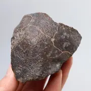 195g Chondrite Meteorite,NWA unclassified Meteorite, From Northwest Africa AB135