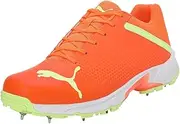 [PUMA] Mens Spike 22.2 Men's Cricket Shoes Cricket Shoe