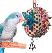 SUPERBIRD SB573 Basket Case Toy, 25x10cm