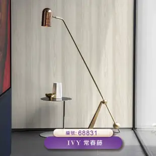 【IVY常春藤】環保無毒 防燃耐熱53X1000cm自然系木紋壁紙