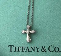 在飛比找Yahoo!奇摩拍賣優惠-Tiffany &Co. 附原廠盒 pt950 白金 鑽石 