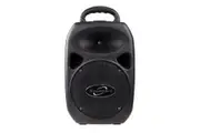 SoundArt 60 Watt Wireless Multi-Purpose Amplifier with Bluetooth