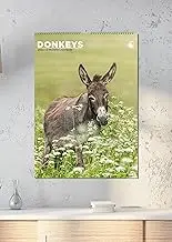 Donkeys Calendar 2026