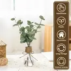 Artificial Eucalyptus Stems in Glass Vase Artificial Plant with Double qrFNP