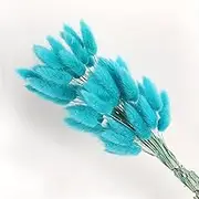 19 Inch Natural Bunny Tails Dried Flowers，Bohemian Style，Pampas Grass Decor，120 Pcs Dried Flowers，Eternal and Preserving Floral Arrangement in Home Decoration ﻿(Lake Blue)