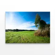 Grassland & Trees at Sunrise Print 100% Australian Made 90 x 60cm (Stretched)