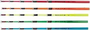 PRO Marine PG Sensitive Flat Wakasagi Tip 1.5-18