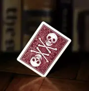 Professional Skull & Bones Back Playing Cards! Sealed! New! Free Shipping!