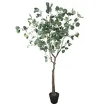 Artificial Eucalyptus Tree (Red Box Eucalyptus Polyanthemos) 150cm
