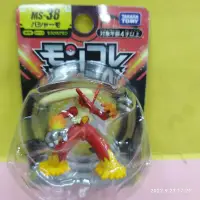 在飛比找Yahoo!奇摩拍賣優惠-{育聖}MS-38 火焰雞 精靈寶可夢 Pokémon PC