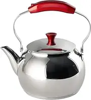 5025610 Lt1 Stainless Steel Kettle Induction Base 18/10, Gray