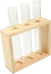 MERRYHAPY 1Set Transparent Hydroponic Test Tube Vase with Stand Tube Wall Mounted Plant Propagation Station for Indoor Terrarium Decor and Plant Lovers