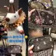 美國正品 COACH F31580動物派對系列、黑色真皮款 (小號.隨身包)雙層拉鍊相機包.&經典 滿版紅色大馬車-雙層小相機包 ( 防刮PVC皮革 ) 手拿包 斜背包 側背包-(Outlet 直購100%正品櫃購入) -*vivi shop*