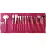 22 Piece Professional Makeup Brush Set Soft Bristle Multipurpose with Carry Case Pink