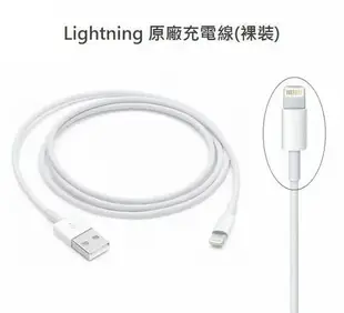 台灣蘋果公司貨 12W【原廠充電組】(充電頭+充電線) 適用 iPhone7 8 X 11 12、XS、XR、iPad