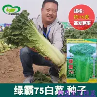 在飛比找蝦皮購物優惠-🌱🥬綠霸75白菜種子一代雜交青麻葉大白菜種子蔬菜種子秋播冬儲