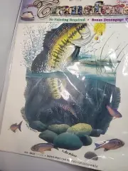 James Tomes Transfers, Iron On Bass 11 x 15