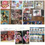 海賊王 ONE PIECE 模型 公仔 盒玩