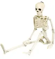 36" Skeleton Halloween Decoration 3ft Full Body Posable Skelton Realistic Human