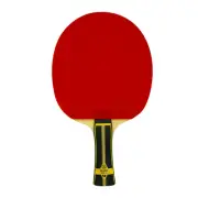Zhang Jike Super ZLC FL Pro-Line with Bryce High Speed