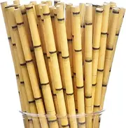 [ALINK] Biodegradable Bamboo Print Paper Drinking Straws for Drinks, Juices, Smoothies, Shakes, Party Supplies, Pack of 100