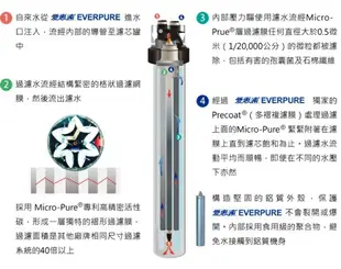 EVERPURE愛惠浦公司貨PBS200淨水器生飲設備用濾心PBS200