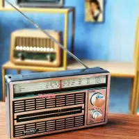 在飛比找Yahoo!奇摩拍賣優惠-精品歐美老款懷舊老人多波段純收音機試調頻中波短波廣播收音機插