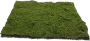 CANIGHT Artificial Turf Fake Grass Pad for Sand Table Decoration Realistic Moss Lawn Craft Ornament for Landscape and Model Display
