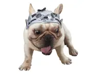 Dog Puppy Retro Pilot Black Cap with Ear Holes Adjustable Hat Pet Party Supplies-White