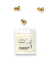 Versace VE 2150Q Golden Replacement Temple Backside Screws Genuine