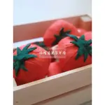 嘎逼果菜市場✨貓咪小玩具🐱 貓草玩具 貓玩具 貓咪玩具 手作玩具 蔬菜玩具 不織布玩具 貓薄荷玩具 小番茄 牛番茄 番茄