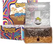 Booming Acres | The Magical 5lb All-in-One Mushroom Grow Bag | Mushroom Grow Kit | Harvest Your own Happiness | Discover The Magic of Growing Mushrooms - 5lb Grow Bag Mushroom Starter Kit