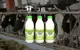 【主恩鮮乳 940cc 3瓶組】畜牧科班出身專業經營 最天然的鮮奶牛奶來自最現代化的牧場!