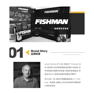 美國品牌 Fishman 拾音器 Presys II 木吉他側板 下弦枕式 ISY 301 改款【他,在旅行】