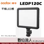 GODOX 神牛 LEDP120C 平板 LED 燈 / 7吋 可調色溫 補光燈 柔光燈 攝影燈 棚燈 直播 數位達人